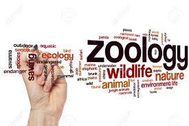 WBCS Optional Question Paper Zoology IMAGE