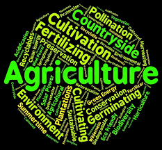 WBCS 2016 Optional Question Paper Agriculture IMAGE