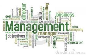 Management Optional Pros And Cons – For IAS Main Examination.