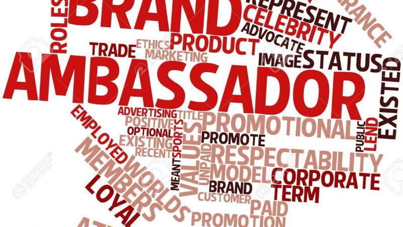 Important  List of Brand & Campaign Ambassadors  Of 2017 in Current Affairs For WBCS Exam