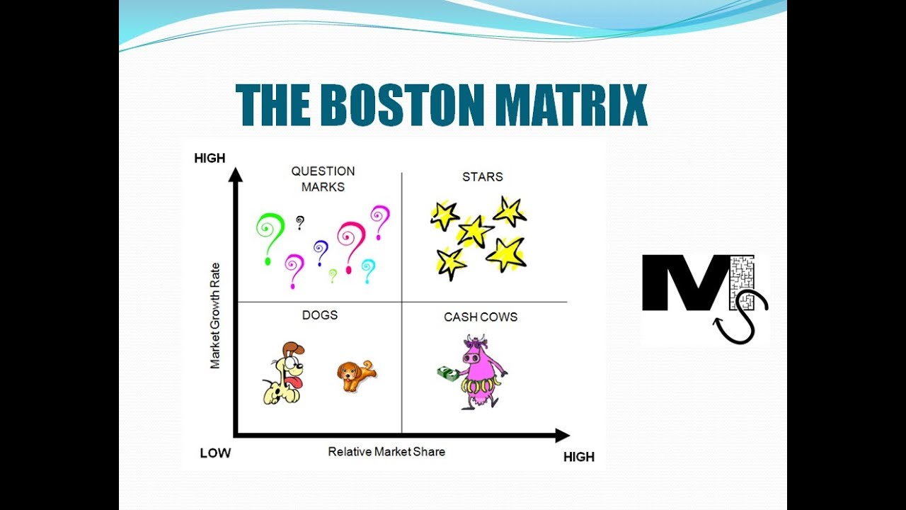 BCG Matrix – Management Notes – For W.B.C.S. Examination.