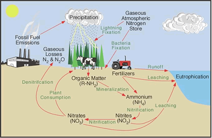 Geography Notes On – Composition Of Biosphere – For W.B.C.S. Examination.