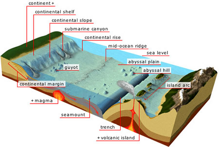 Bottom Topography Of Ocean Basins – Geography Notes – For W.B.C.S. Examination.