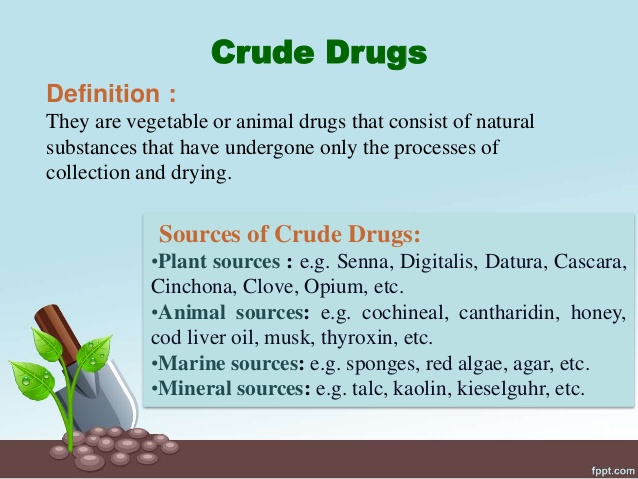 Crude Drugs – Botany Notes – For W.B.C.S. Examination.