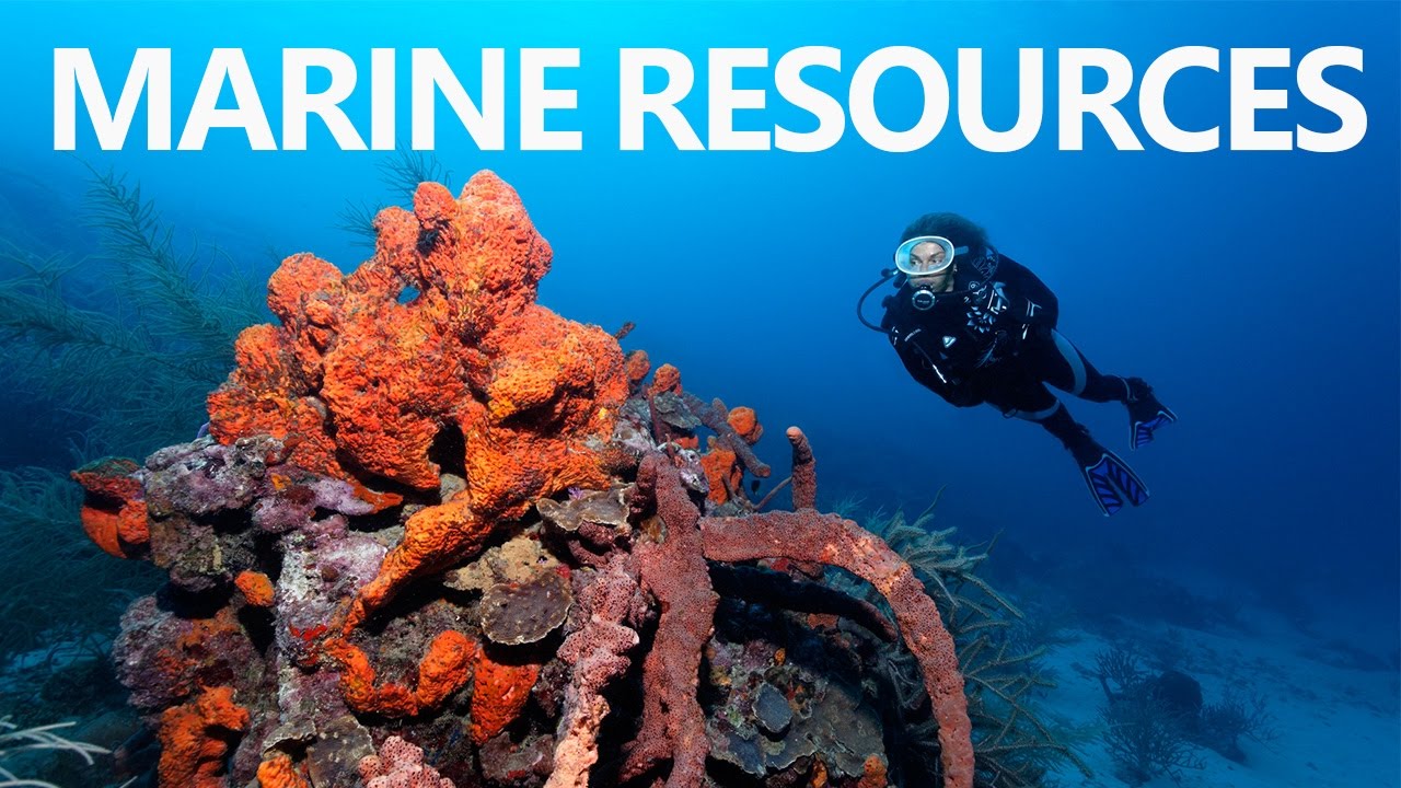 Geography Notes On – Marine Resources – For W.B.C.S. Examination.