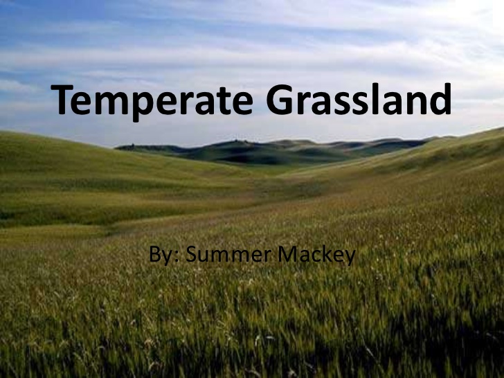 Geography Notes – On Temperate Grasslands – For W.B.C.S. Examination.