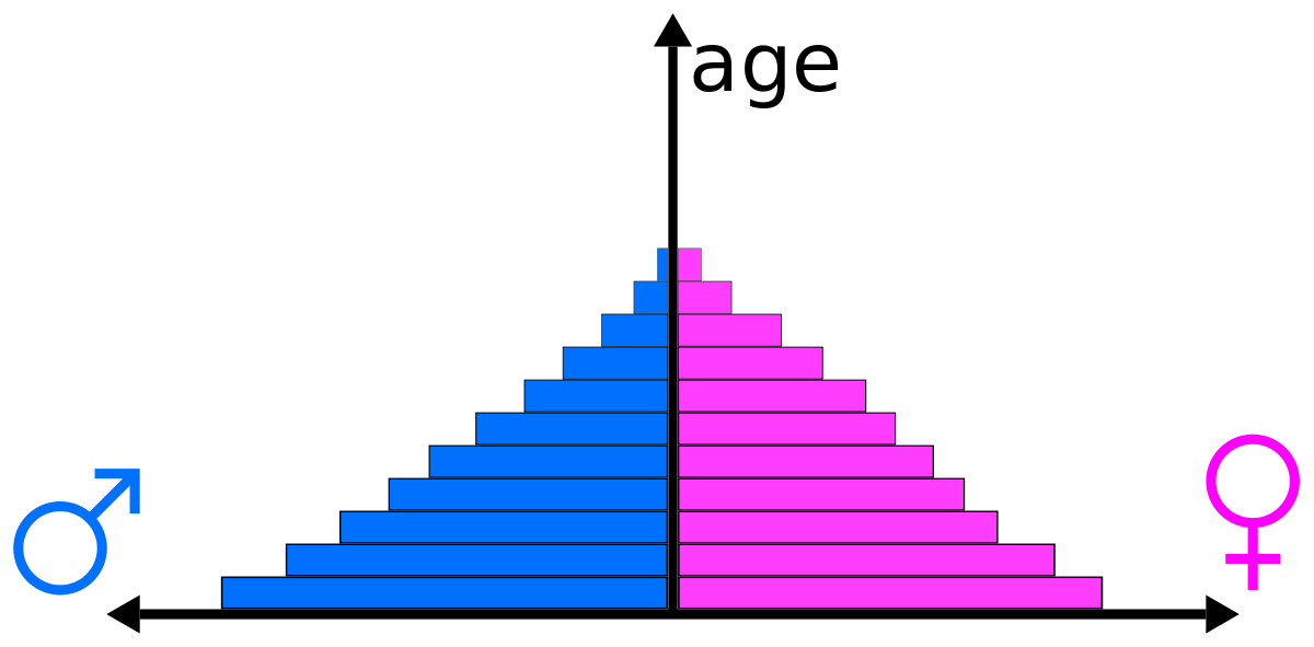 Age-Sex Structure – Geography Notes – For W.B.C.S. Examination.