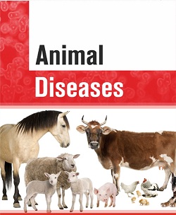 Animal Diseases – Animal Husbandry And Veterinary Sciences Notes – For W.B.C.S. Examination.