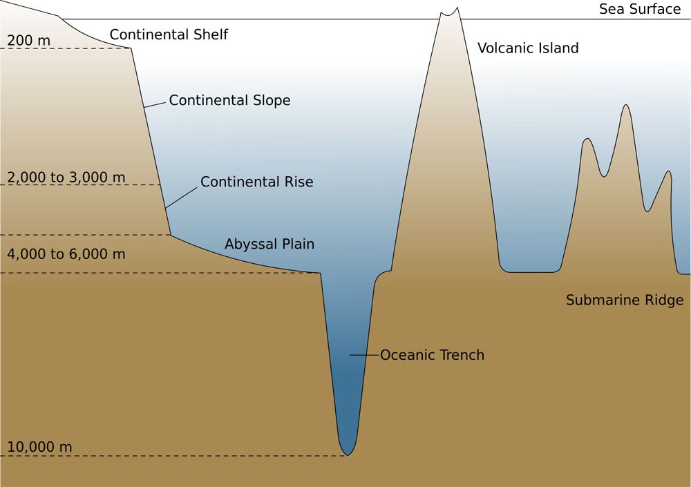 Geography Notes On – Oceanic Trenches – For W.B.C.S. Examination.