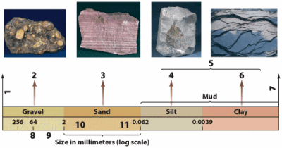 Classification Of Rocks By grain Or Crystal Size – Geology Notes – For W.B.C.S. Examination.