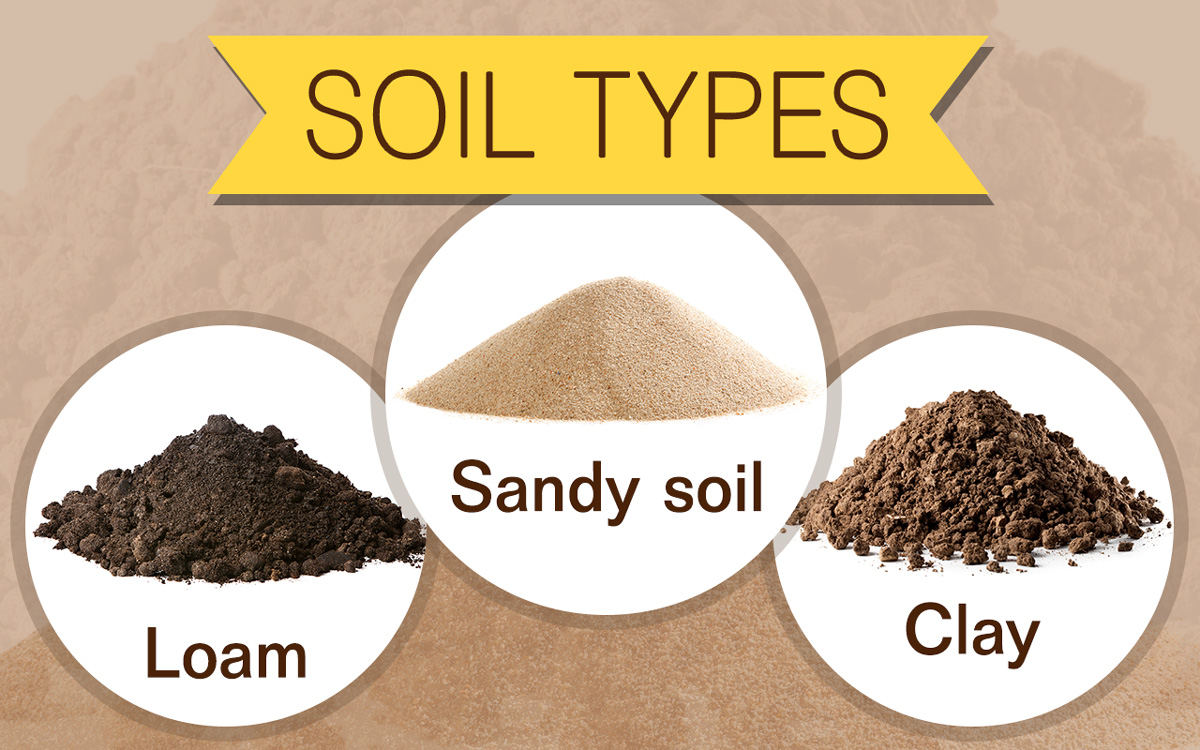 Agriculture Notes On – Problems Of Soil – For W.B.C.S. Examination.