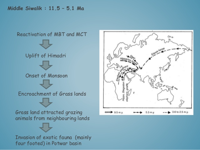 Siwalik Fauna – Geology Notes – For W.B.C.S. Examination.
