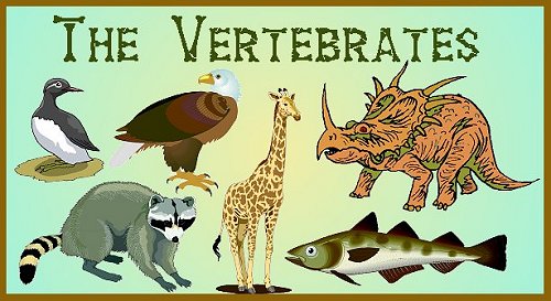 Vertebrates – General Science Notes – For W.B.C.S. Examination.