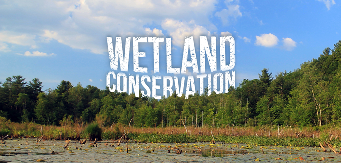 Wetland Conservation – Environment Notes – For W.B.C.S. Examination.