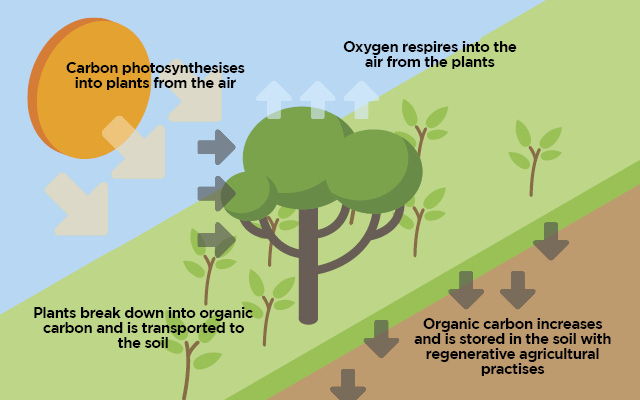 Animal Husbandry And Veterinary Science Notes – On – Carbon Farming – For W.B.C.S. Examination.