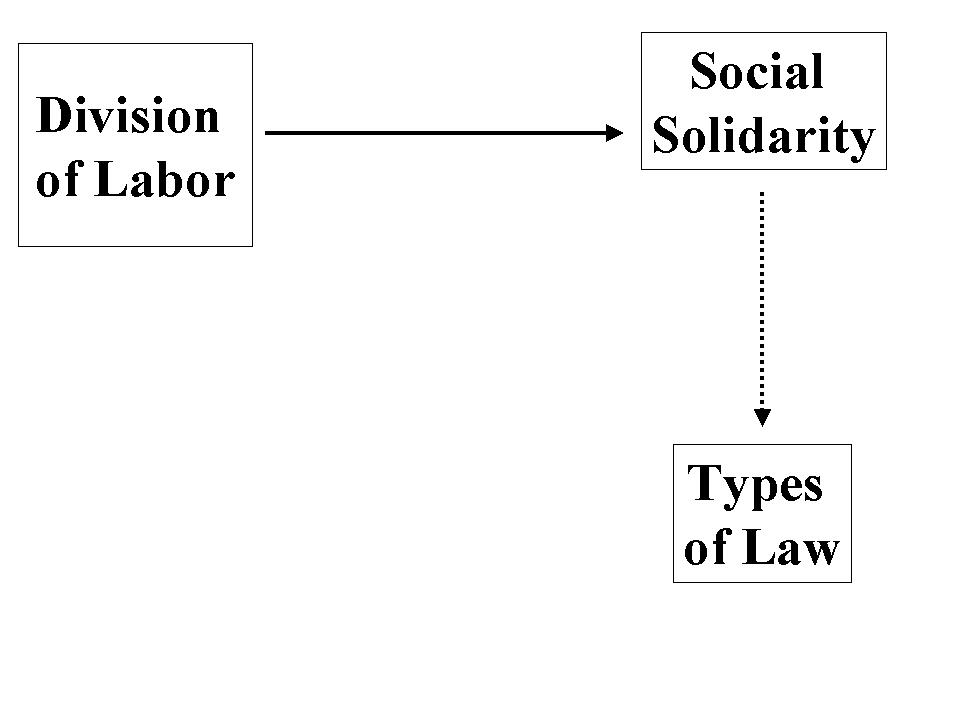 Sociology Notes On – The Division Of Labor In Society – For W.B.C.S. Examination.