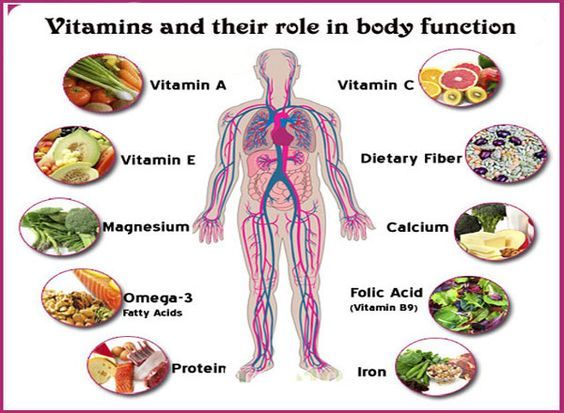 General Science Notes On – Role of Vitamins In Our Body  – For W.B.C.S. Examination.