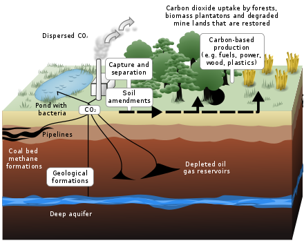 Environment Notes On – Carbon Capture – For W.B.C.S. Examination.