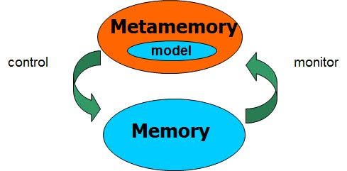 Psychology Notes On – Metamemory – For W.B.C.S. Examination.