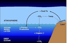 Geology Notes On – Ocean Fertilization – For W.B.C.S. Examination.