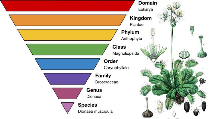 Plant Resource Development – Botany Notes – For W.B.C.S. Examination.