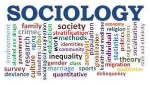 WBCS Distinguishing The Normal From The Pathological - Sociology Notes IMAGE