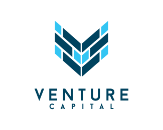 Venture Capital – Commerce And  Accountancy Notes – For W.B.C.S. Examination.