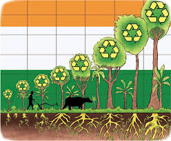 Agriculture Notes – On Agroforestry – For W.B.C.S. Examination.