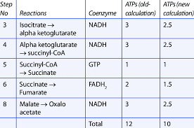 W.B.C.S. Main 2018 Question Answer – Zoology – Role Of Mitochondria In ATP Generation.