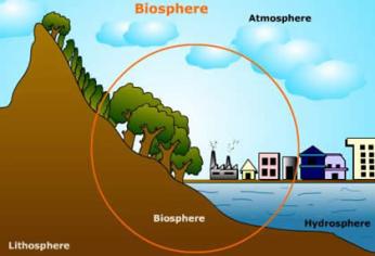 Nature And Composition Of Biosphere – Geography Notes – For W.B.C.S. Examination.