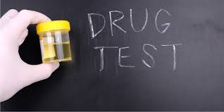 Should People On Welfare Be Required To Submit To Drug Testing – Essay Composition For W.B.C.S. Examination.