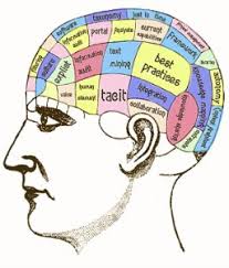 WBCS Main Writing Practice Questions For Optional Psychology -Learning & Memory IMAGE