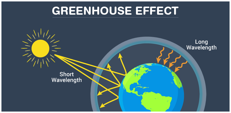 Green House Effect – Zoology Notes – For W.B.C.S. Examination.
