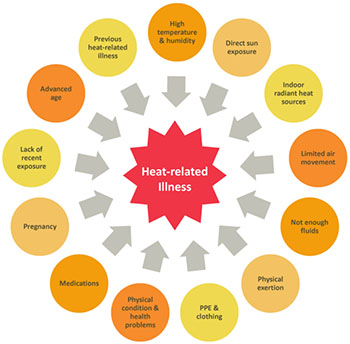 W.B.C.S. Main 2018 Question Answer – Physiology – Heat Stress And Heat Strain.