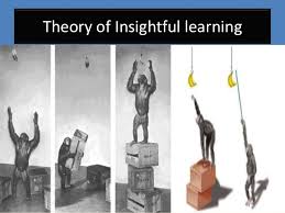 Theory Of Insight Learning – Psychology Notes For – W.B.C.S. Examination.