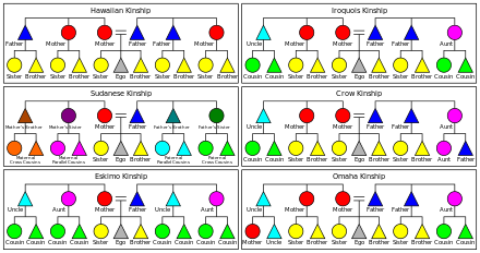 Kinship – Meaning, Types – Anthropology Notes For – W.B.C.S. Examination.