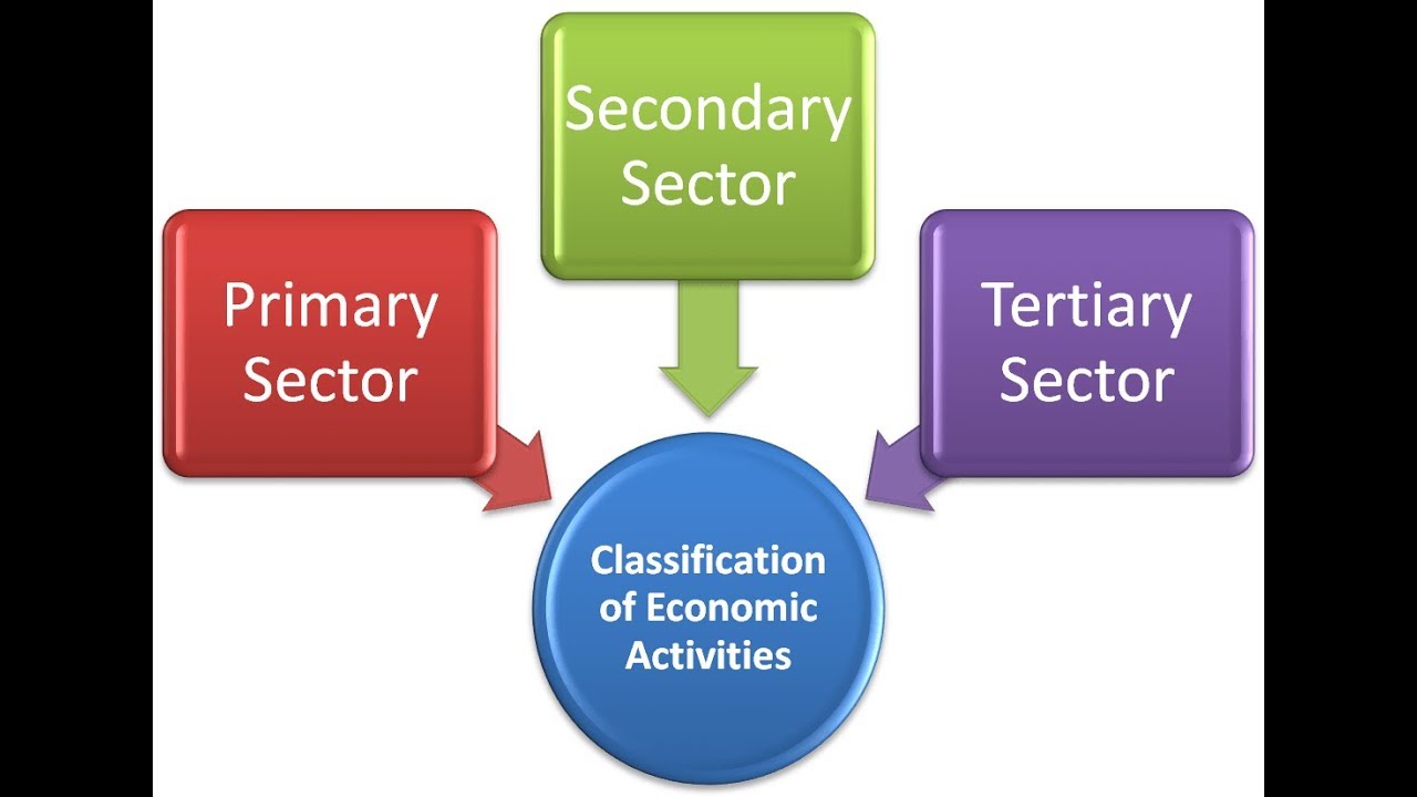 Geography Notes For W.B.C.S Examination – Sectors Of Economy – Primary, Secondary, Tertiary, Quaternary.