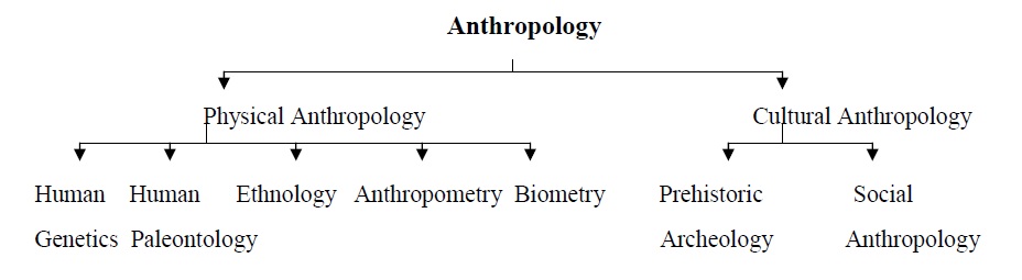Anthropology Notes – For W.B.C.S. Examination – Scope Of Anthropology.