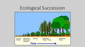Ecological Succession – Zoology Notes – For W.B.C.S. Examination.