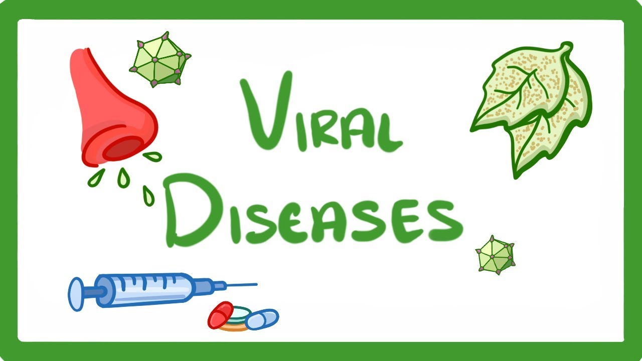 Biology – Viral Diseases – Notes For W.B.C.S. Examination.