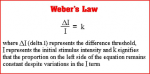 WBCS Psychology -Fechners Law - Webers Law IMAGE