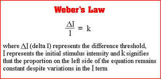W.B.C.S. Main 2018 Question Answer – Psychology -Fechners Law – Webers Law