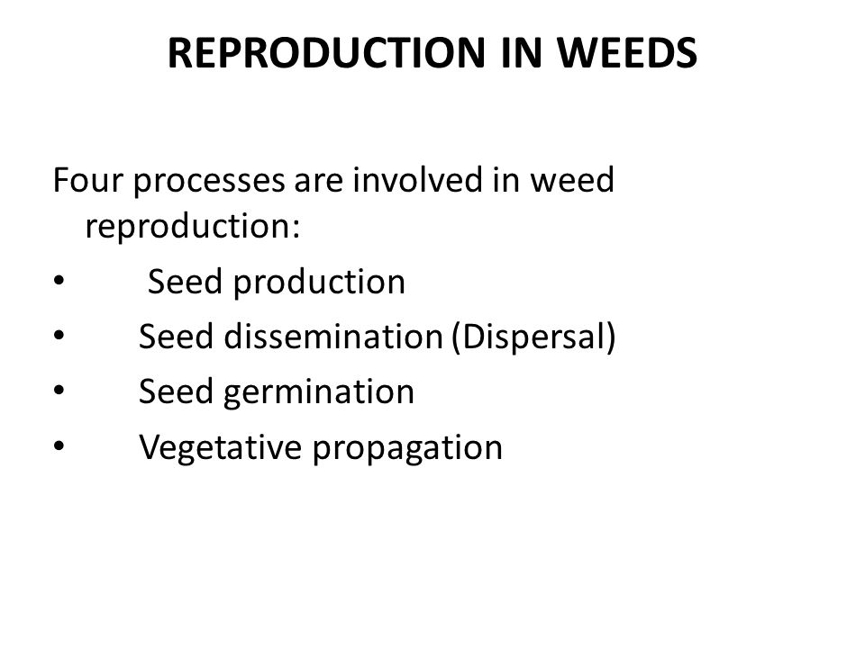 WEED DISSEMINATION – Agriculture Notes – For W.B.C.S. Examination.