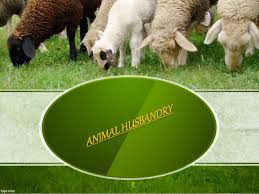 Exotic Breeds – Notes On Animal Husbandry – For W.B.C.S. Examination.