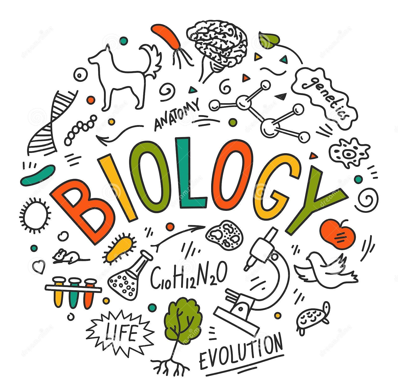 General Science – Yearwise Questions – Biology And Environment – W.B.C.S. Preliminary Examination.