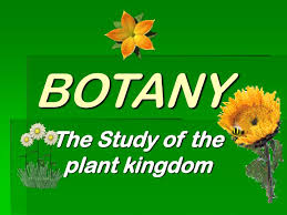 How is Botany As An Optional – For UPSC Mains Examination.