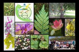 Herbarium And Botanical Gardens – Botany Notes – For W.B.C.S. Examination.