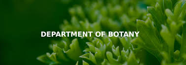 W.B.C.S Main 2008 Optional Question Paper Botany.