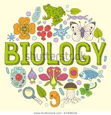 Inventions And Discoveries In Biology – Notes For W.B.C.S. Examination.