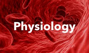 Physiology Notes – For W.B.C.S. Examination – Structure Of Nephron.